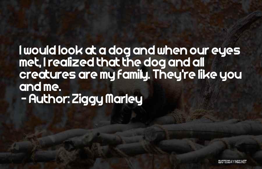 Ziggy Marley Quotes: I Would Look At A Dog And When Our Eyes Met, I Realized That The Dog And All Creatures Are