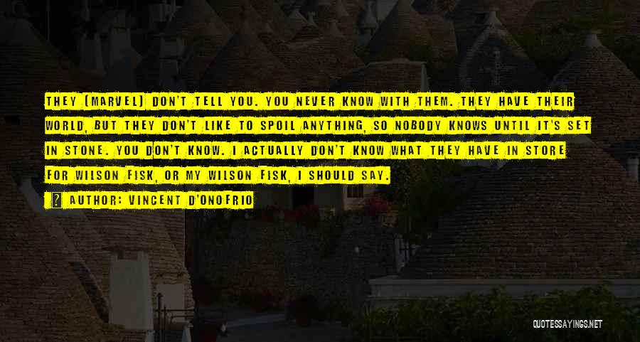 Vincent D'Onofrio Quotes: They [marvel] Don't Tell You. You Never Know With Them. They Have Their World, But They Don't Like To Spoil