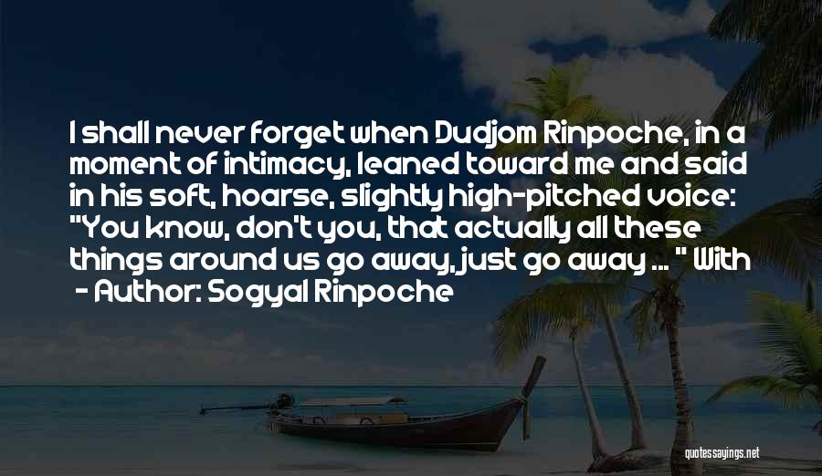 Sogyal Rinpoche Quotes: I Shall Never Forget When Dudjom Rinpoche, In A Moment Of Intimacy, Leaned Toward Me And Said In His Soft,