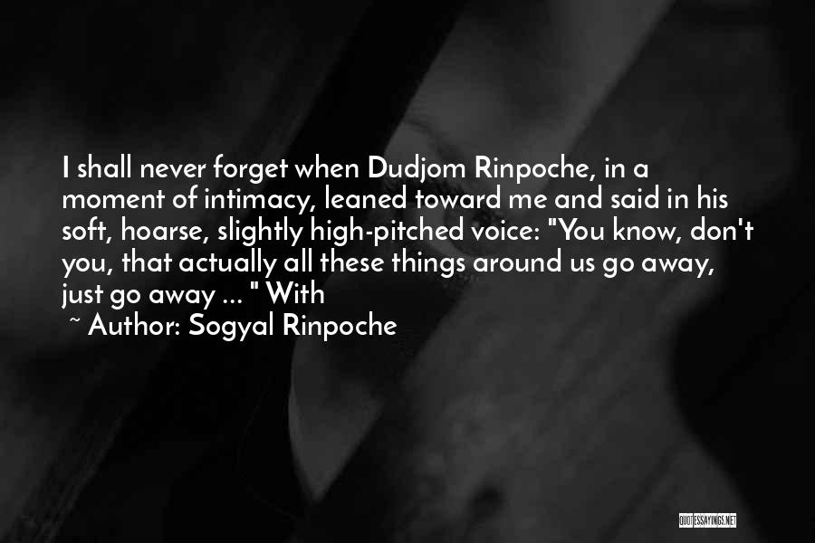 Sogyal Rinpoche Quotes: I Shall Never Forget When Dudjom Rinpoche, In A Moment Of Intimacy, Leaned Toward Me And Said In His Soft,