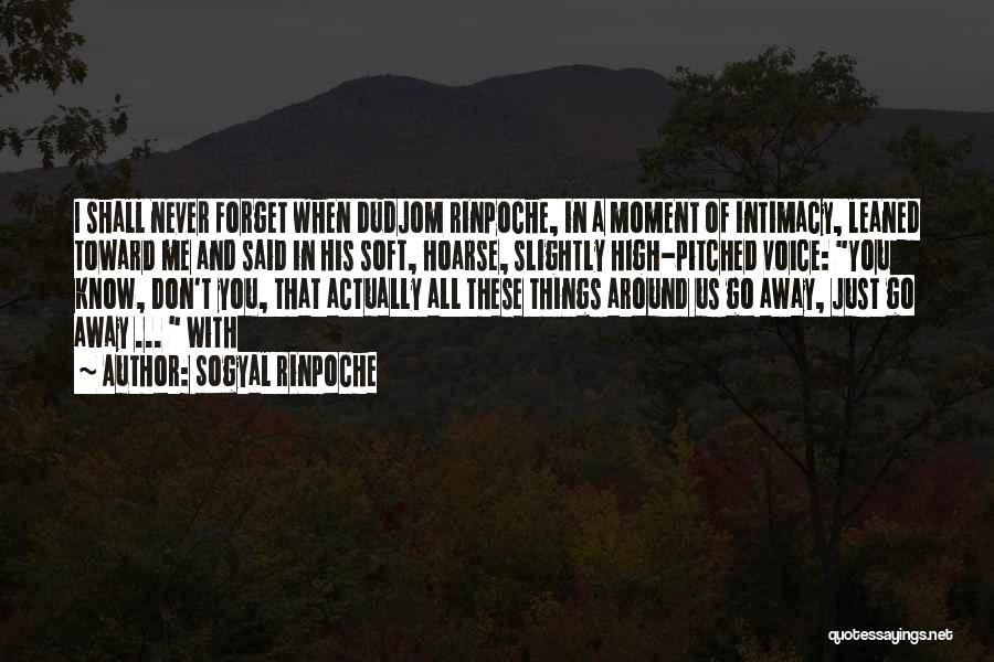 Sogyal Rinpoche Quotes: I Shall Never Forget When Dudjom Rinpoche, In A Moment Of Intimacy, Leaned Toward Me And Said In His Soft,