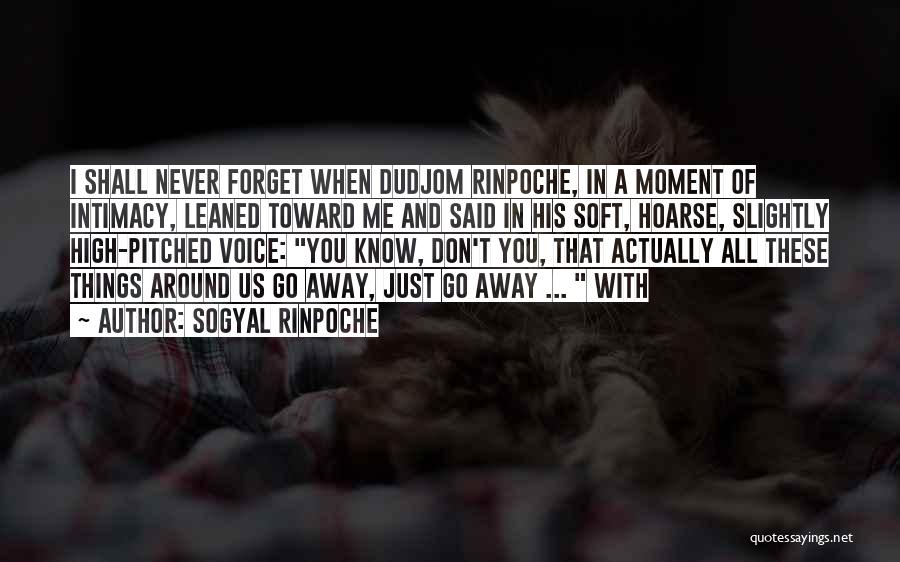 Sogyal Rinpoche Quotes: I Shall Never Forget When Dudjom Rinpoche, In A Moment Of Intimacy, Leaned Toward Me And Said In His Soft,