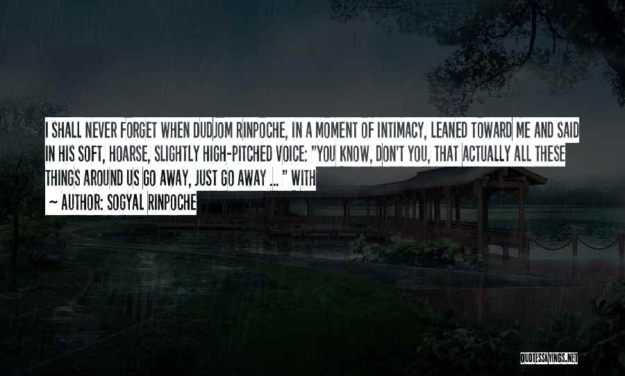 Sogyal Rinpoche Quotes: I Shall Never Forget When Dudjom Rinpoche, In A Moment Of Intimacy, Leaned Toward Me And Said In His Soft,