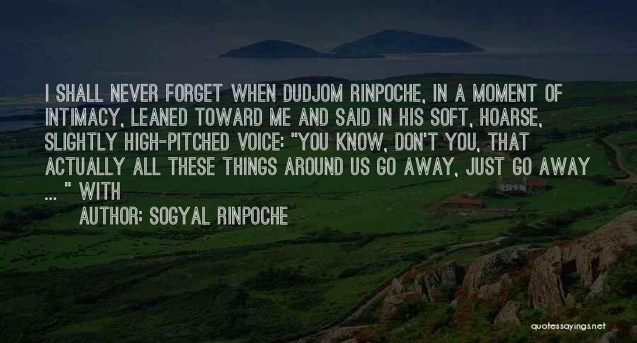 Sogyal Rinpoche Quotes: I Shall Never Forget When Dudjom Rinpoche, In A Moment Of Intimacy, Leaned Toward Me And Said In His Soft,