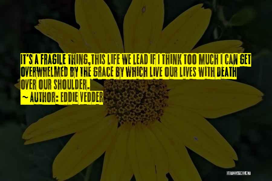 Eddie Vedder Quotes: It's A Fragile Thing,this Life We Lead If I Think Too Much I Can Get Overwhelmed By The Grace By