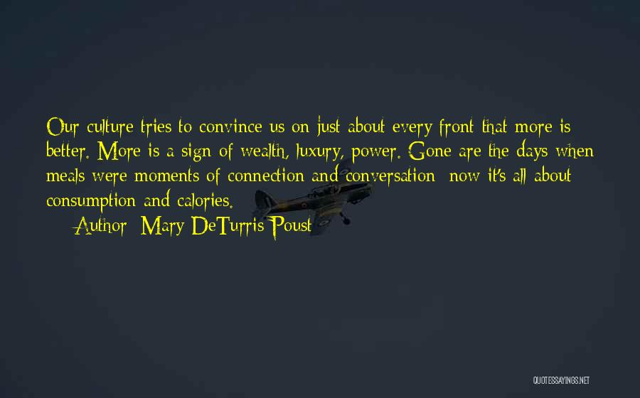 Mary DeTurris Poust Quotes: Our Culture Tries To Convince Us On Just About Every Front That More Is Better. More Is A Sign Of