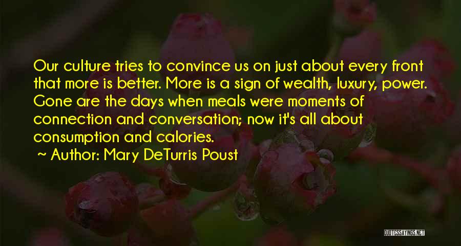 Mary DeTurris Poust Quotes: Our Culture Tries To Convince Us On Just About Every Front That More Is Better. More Is A Sign Of