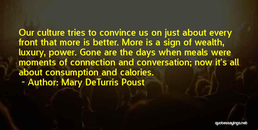 Mary DeTurris Poust Quotes: Our Culture Tries To Convince Us On Just About Every Front That More Is Better. More Is A Sign Of