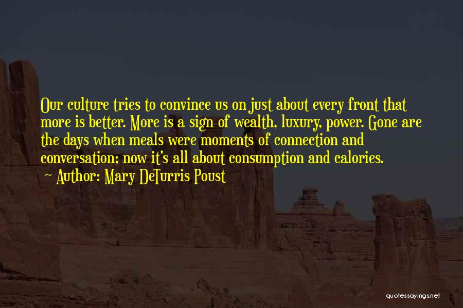 Mary DeTurris Poust Quotes: Our Culture Tries To Convince Us On Just About Every Front That More Is Better. More Is A Sign Of