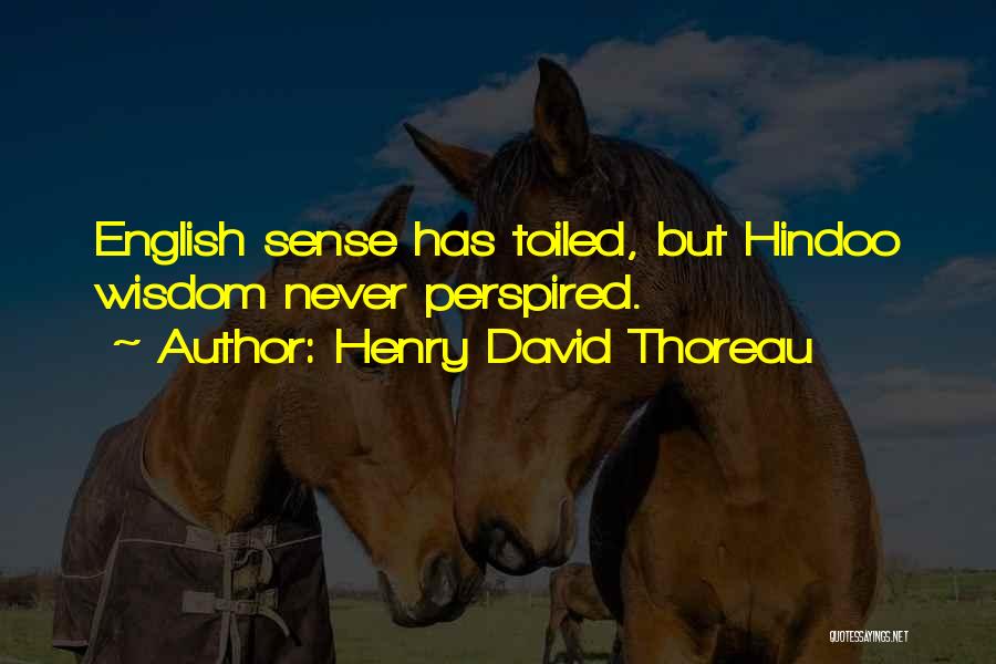 Henry David Thoreau Quotes: English Sense Has Toiled, But Hindoo Wisdom Never Perspired.