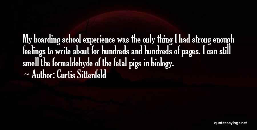 Curtis Sittenfeld Quotes: My Boarding School Experience Was The Only Thing I Had Strong Enough Feelings To Write About For Hundreds And Hundreds