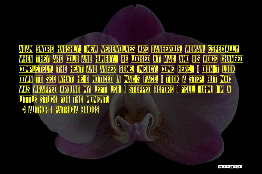 Patricia Briggs Quotes: Adam Swore Harshly. New Werewolves Are Dangerous, Woman. Especially When They Are Cold And Hungry. He Looked At Mac, And