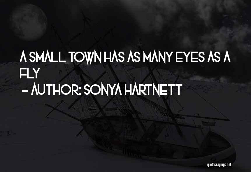 Sonya Hartnett Quotes: A Small Town Has As Many Eyes As A Fly