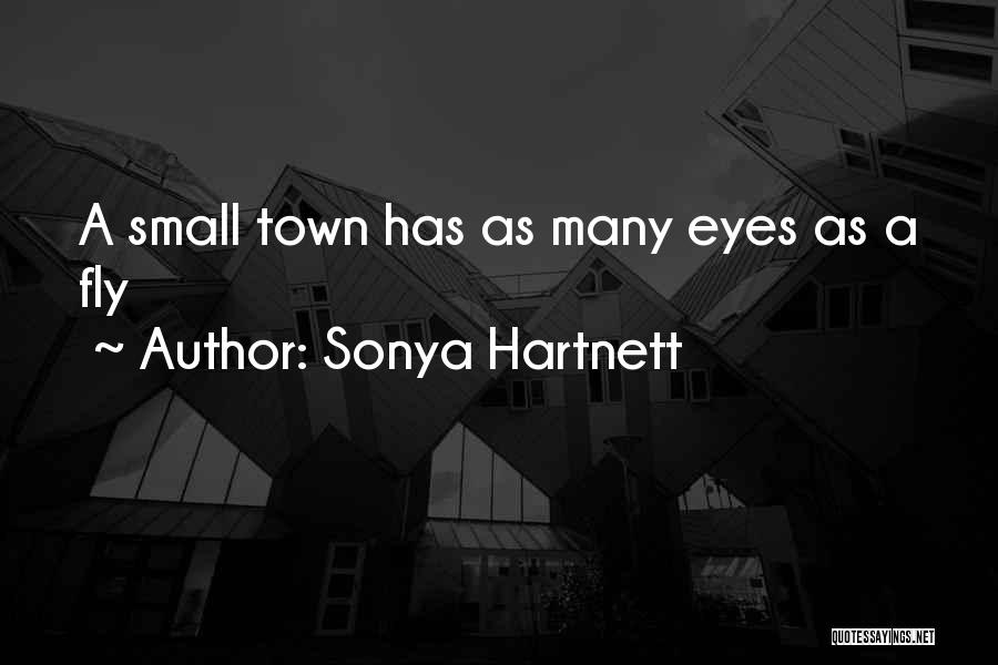 Sonya Hartnett Quotes: A Small Town Has As Many Eyes As A Fly