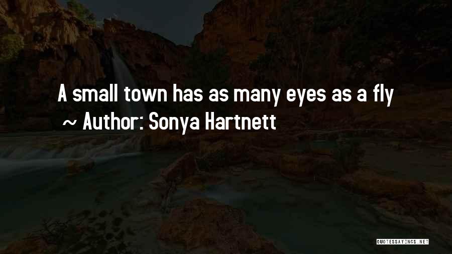 Sonya Hartnett Quotes: A Small Town Has As Many Eyes As A Fly