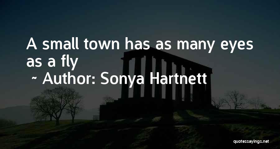 Sonya Hartnett Quotes: A Small Town Has As Many Eyes As A Fly