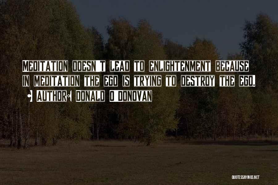 Donald O'Donovan Quotes: Meditation Doesn't Lead To Enlightenment Because In Meditation The Ego Is Trying To Destroy The Ego.