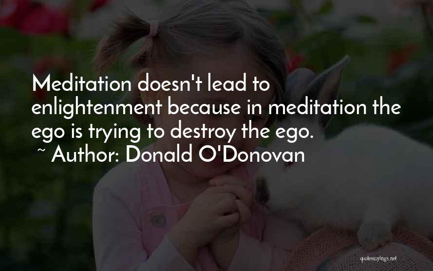 Donald O'Donovan Quotes: Meditation Doesn't Lead To Enlightenment Because In Meditation The Ego Is Trying To Destroy The Ego.