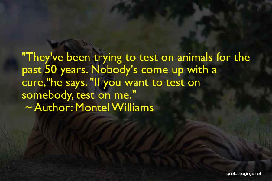 Montel Williams Quotes: They've Been Trying To Test On Animals For The Past 50 Years. Nobody's Come Up With A Cure,he Says. If