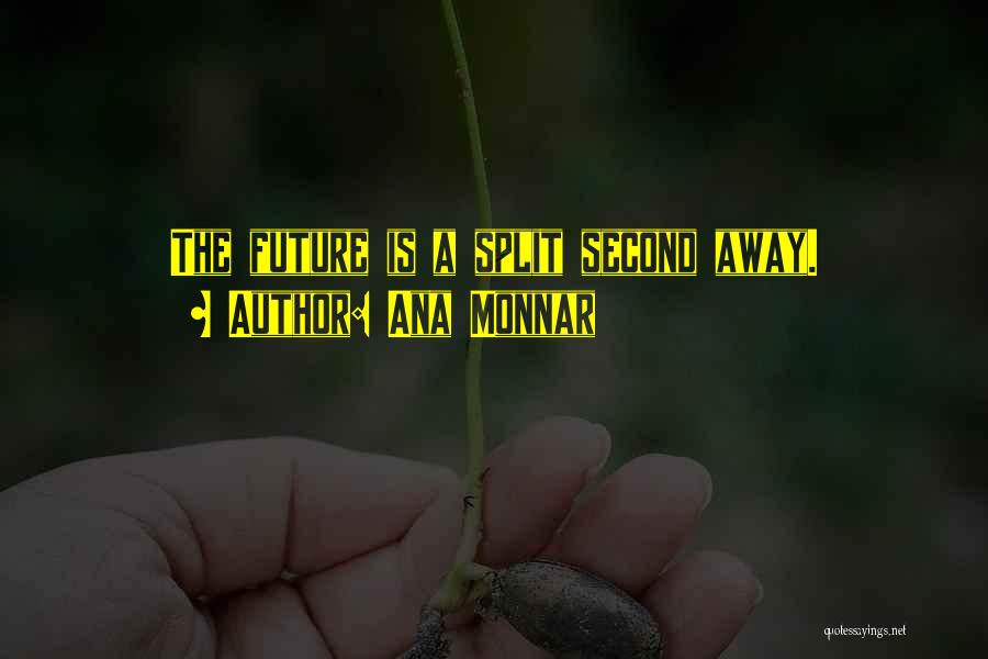 Ana Monnar Quotes: The Future Is A Split Second Away.