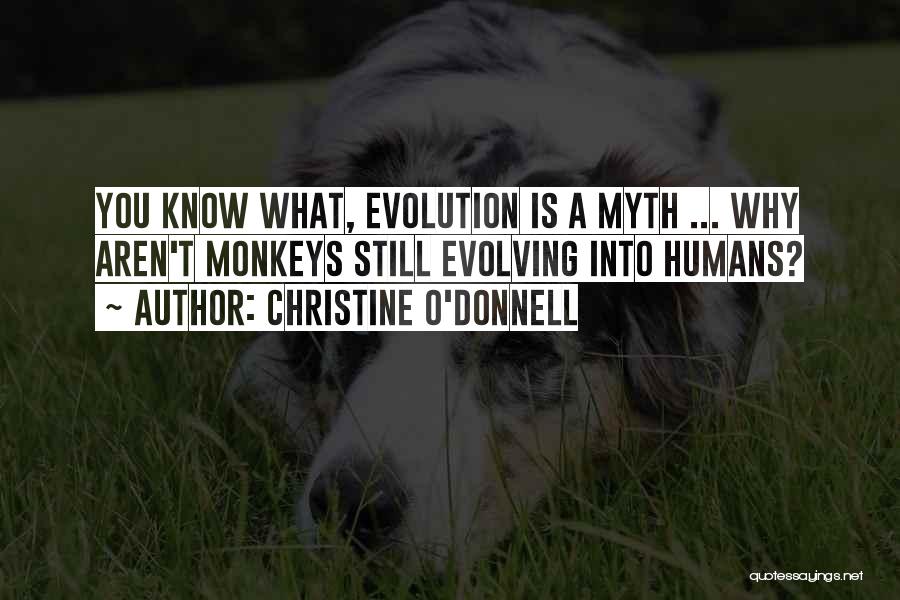 Christine O'Donnell Quotes: You Know What, Evolution Is A Myth ... Why Aren't Monkeys Still Evolving Into Humans?