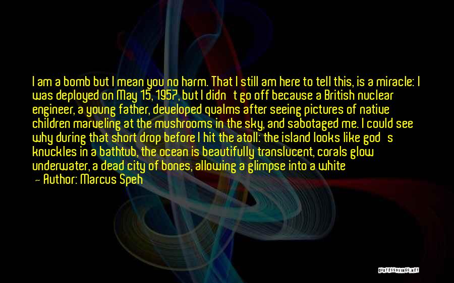 Marcus Speh Quotes: I Am A Bomb But I Mean You No Harm. That I Still Am Here To Tell This, Is A