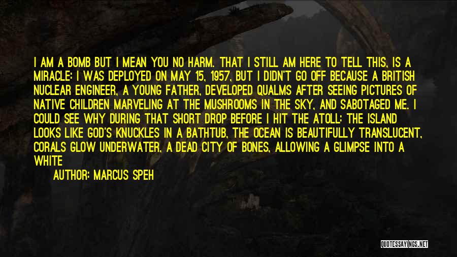 Marcus Speh Quotes: I Am A Bomb But I Mean You No Harm. That I Still Am Here To Tell This, Is A