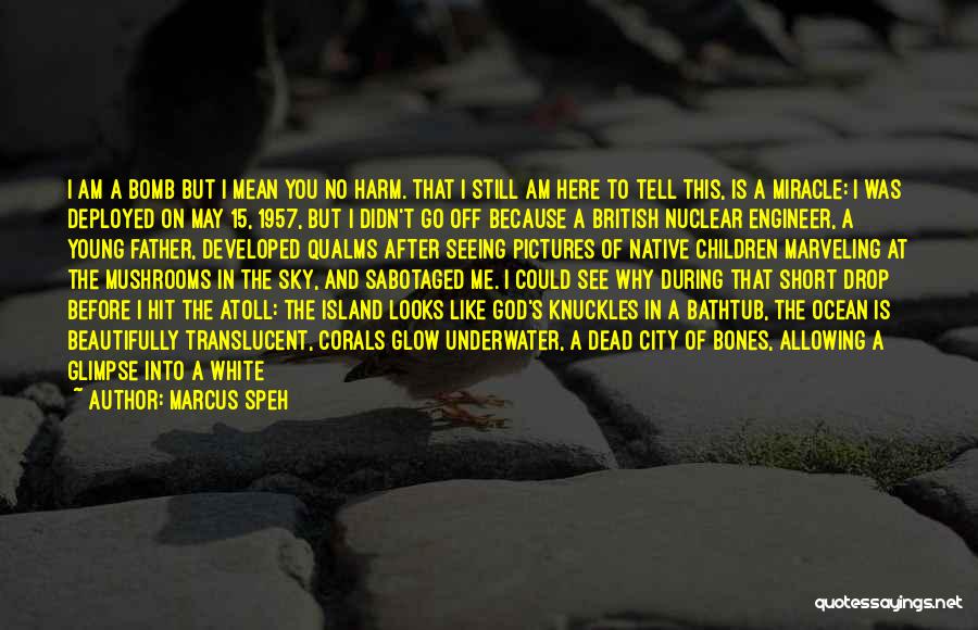 Marcus Speh Quotes: I Am A Bomb But I Mean You No Harm. That I Still Am Here To Tell This, Is A