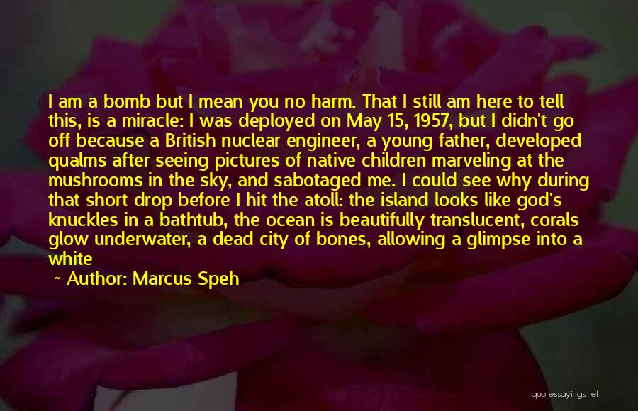 Marcus Speh Quotes: I Am A Bomb But I Mean You No Harm. That I Still Am Here To Tell This, Is A