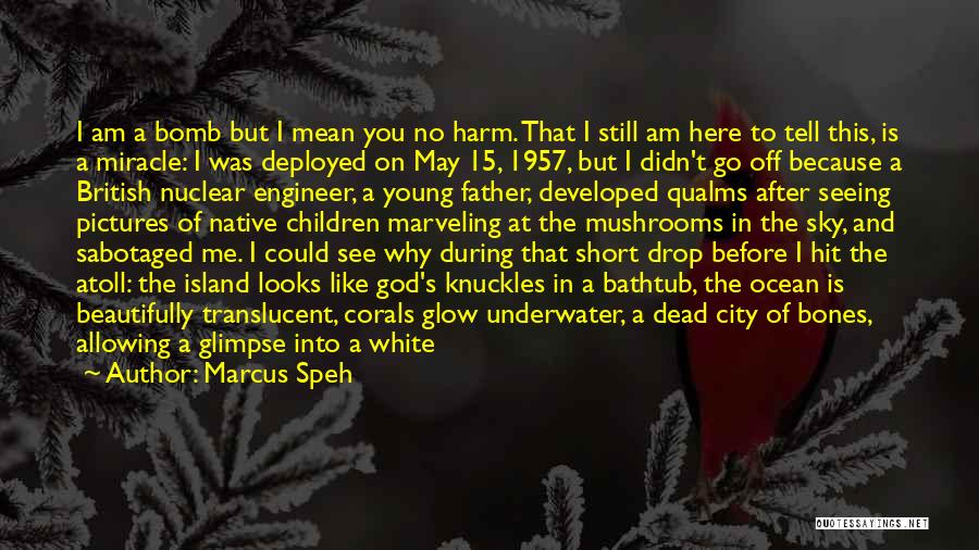 Marcus Speh Quotes: I Am A Bomb But I Mean You No Harm. That I Still Am Here To Tell This, Is A
