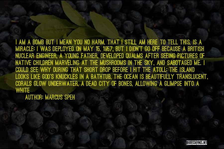 Marcus Speh Quotes: I Am A Bomb But I Mean You No Harm. That I Still Am Here To Tell This, Is A