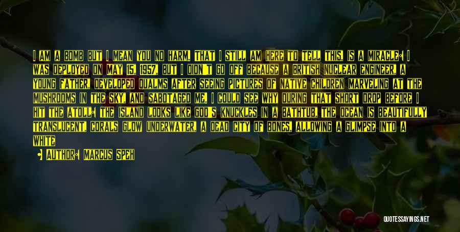 Marcus Speh Quotes: I Am A Bomb But I Mean You No Harm. That I Still Am Here To Tell This, Is A