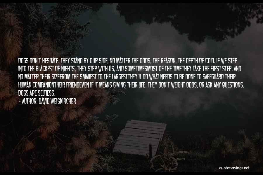 David Weiskircher Quotes: Dogs Don't Hesitate. They Stand By Our Side, No Matter The Odds, The Reason, The Depth Of Cold. If We