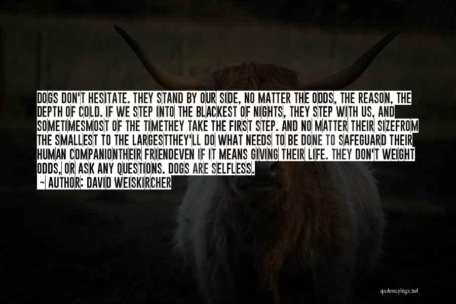 David Weiskircher Quotes: Dogs Don't Hesitate. They Stand By Our Side, No Matter The Odds, The Reason, The Depth Of Cold. If We