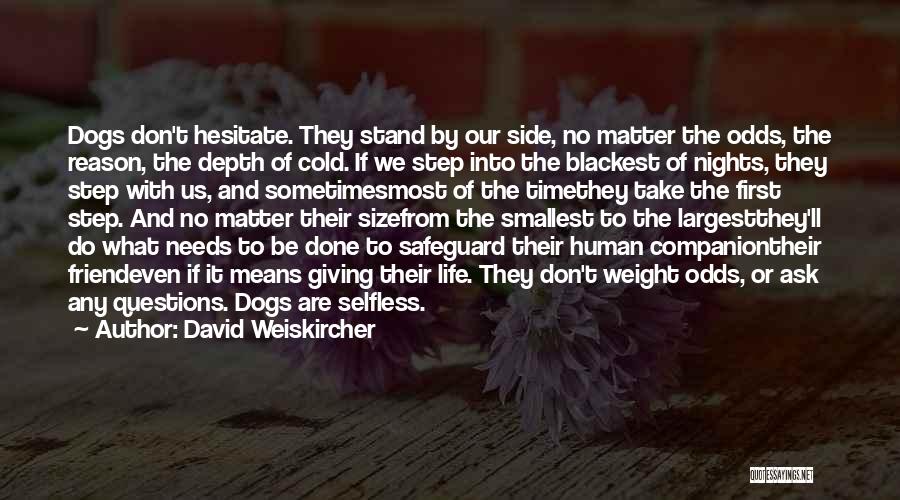 David Weiskircher Quotes: Dogs Don't Hesitate. They Stand By Our Side, No Matter The Odds, The Reason, The Depth Of Cold. If We