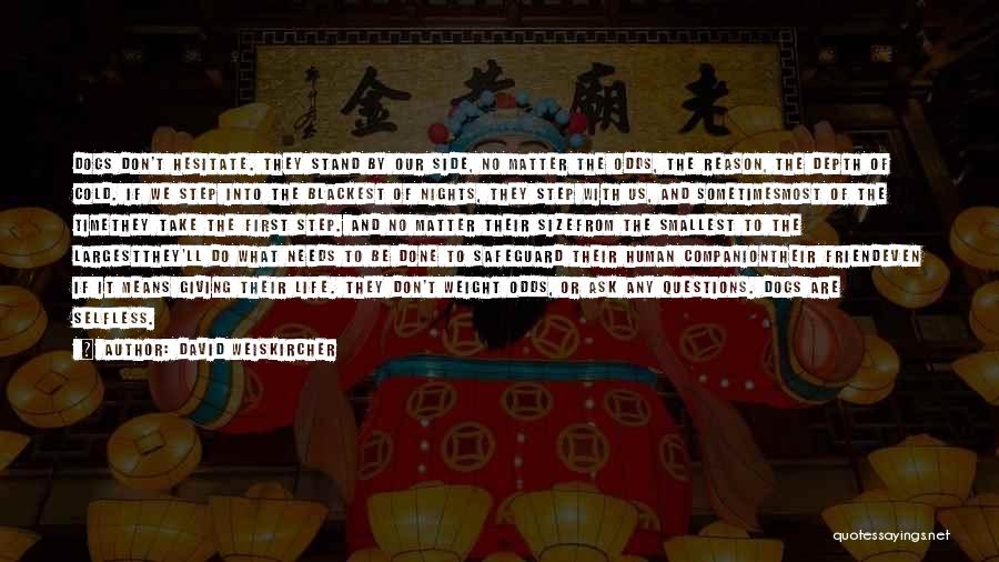 David Weiskircher Quotes: Dogs Don't Hesitate. They Stand By Our Side, No Matter The Odds, The Reason, The Depth Of Cold. If We