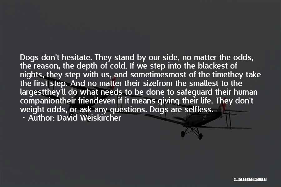David Weiskircher Quotes: Dogs Don't Hesitate. They Stand By Our Side, No Matter The Odds, The Reason, The Depth Of Cold. If We