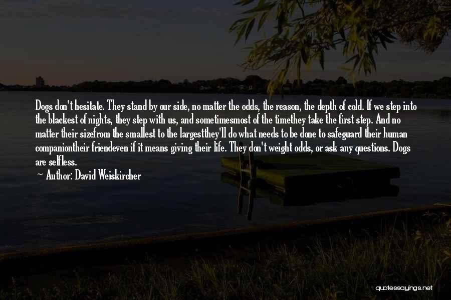 David Weiskircher Quotes: Dogs Don't Hesitate. They Stand By Our Side, No Matter The Odds, The Reason, The Depth Of Cold. If We