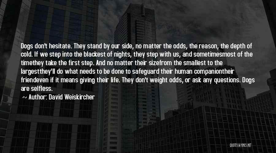 David Weiskircher Quotes: Dogs Don't Hesitate. They Stand By Our Side, No Matter The Odds, The Reason, The Depth Of Cold. If We