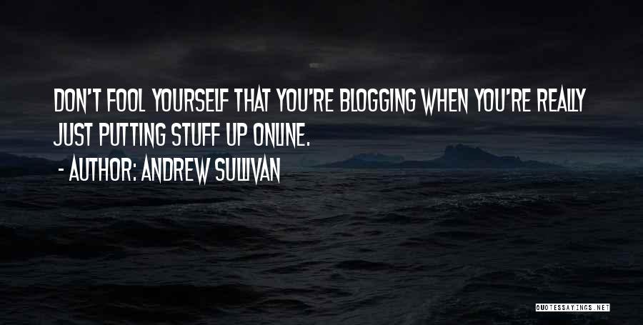 Andrew Sullivan Quotes: Don't Fool Yourself That You're Blogging When You're Really Just Putting Stuff Up Online.