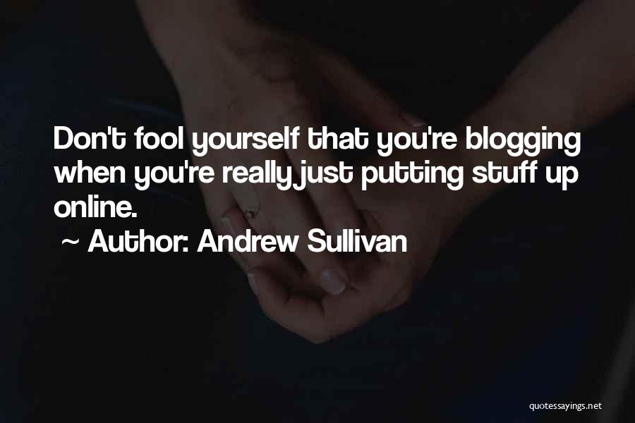 Andrew Sullivan Quotes: Don't Fool Yourself That You're Blogging When You're Really Just Putting Stuff Up Online.