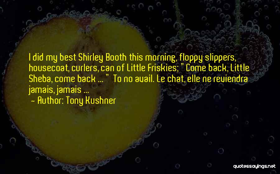 Tony Kushner Quotes: I Did My Best Shirley Booth This Morning, Floppy Slippers, Housecoat, Curlers, Can Of Little Friskies; Come Back, Little Sheba,