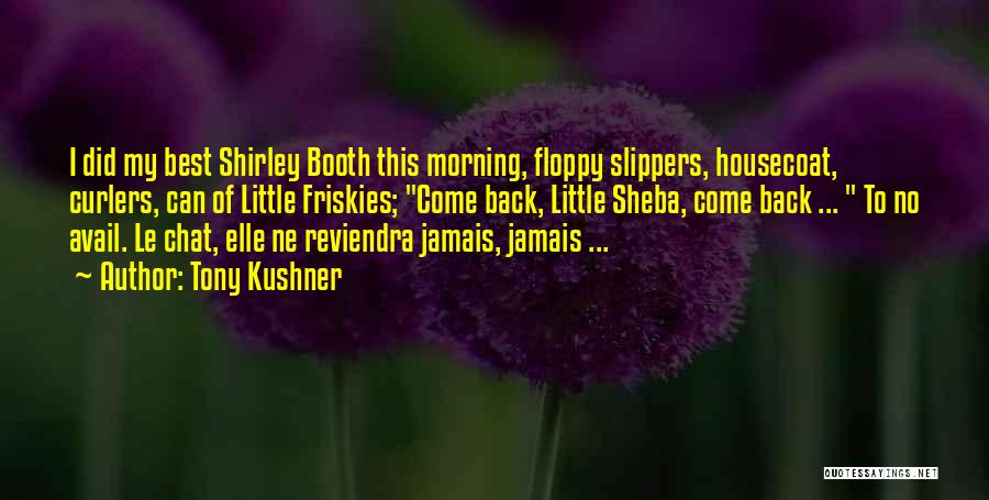 Tony Kushner Quotes: I Did My Best Shirley Booth This Morning, Floppy Slippers, Housecoat, Curlers, Can Of Little Friskies; Come Back, Little Sheba,