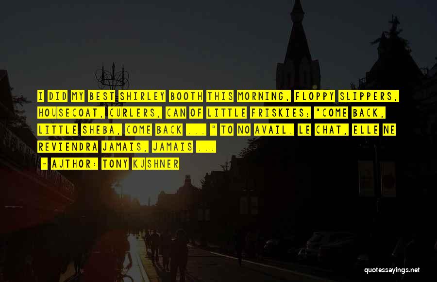 Tony Kushner Quotes: I Did My Best Shirley Booth This Morning, Floppy Slippers, Housecoat, Curlers, Can Of Little Friskies; Come Back, Little Sheba,