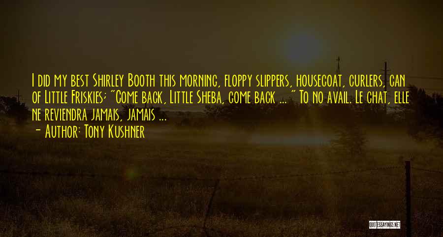 Tony Kushner Quotes: I Did My Best Shirley Booth This Morning, Floppy Slippers, Housecoat, Curlers, Can Of Little Friskies; Come Back, Little Sheba,