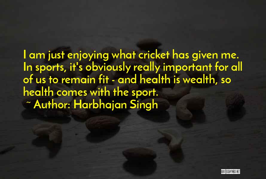 Harbhajan Singh Quotes: I Am Just Enjoying What Cricket Has Given Me. In Sports, It's Obviously Really Important For All Of Us To