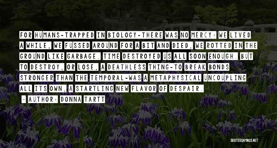 Donna Tartt Quotes: For Humans-trapped In Biology-there Was No Mercy: We Lived A While, We Fussed Around For A Bit And Died, We