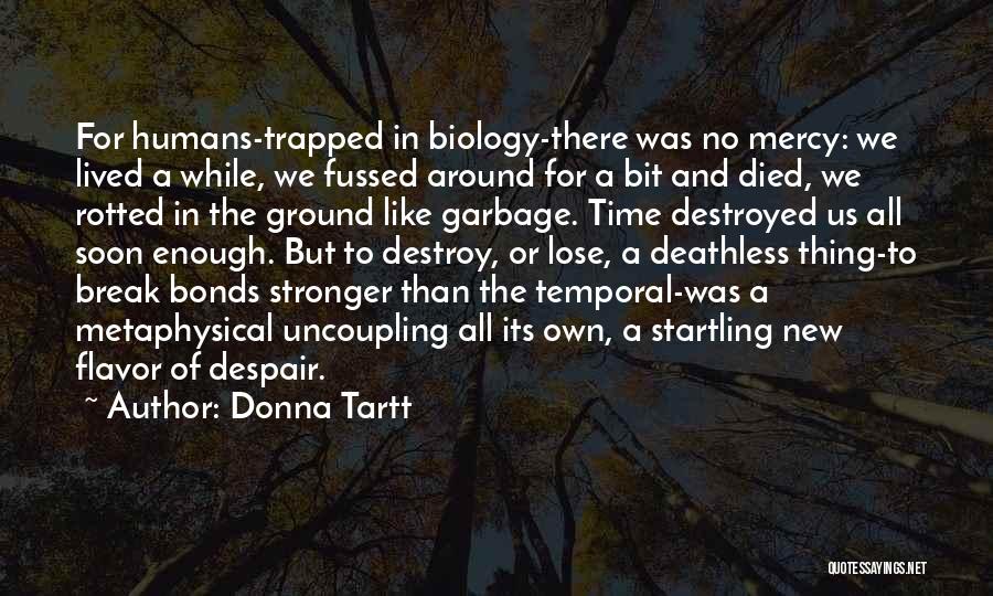 Donna Tartt Quotes: For Humans-trapped In Biology-there Was No Mercy: We Lived A While, We Fussed Around For A Bit And Died, We