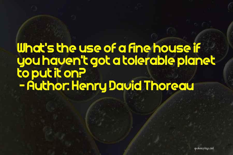 Henry David Thoreau Quotes: What's The Use Of A Fine House If You Haven't Got A Tolerable Planet To Put It On?