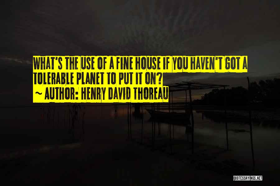 Henry David Thoreau Quotes: What's The Use Of A Fine House If You Haven't Got A Tolerable Planet To Put It On?